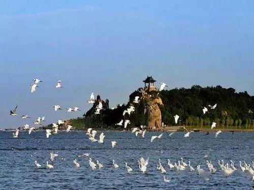 北戴河旅游爆料最新消息,最新爆料揭示热门景点与活动！