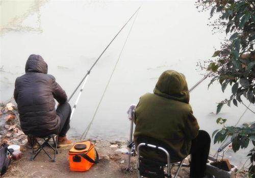 钓鱼爆料视频大全最新,最新爆料视频大全，精彩瞬间一网打尽！