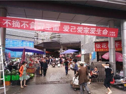 古蔺餐馆爆料视频大全集,揭秘美食背后的故事 第2张 古蔺餐馆爆料视频大全集,揭秘美食背后的故事 第2张