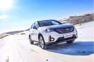 国产suv最新爆料车型,五大爆款车型前瞻揭秘